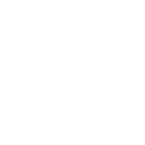 New City Kids New City Kids